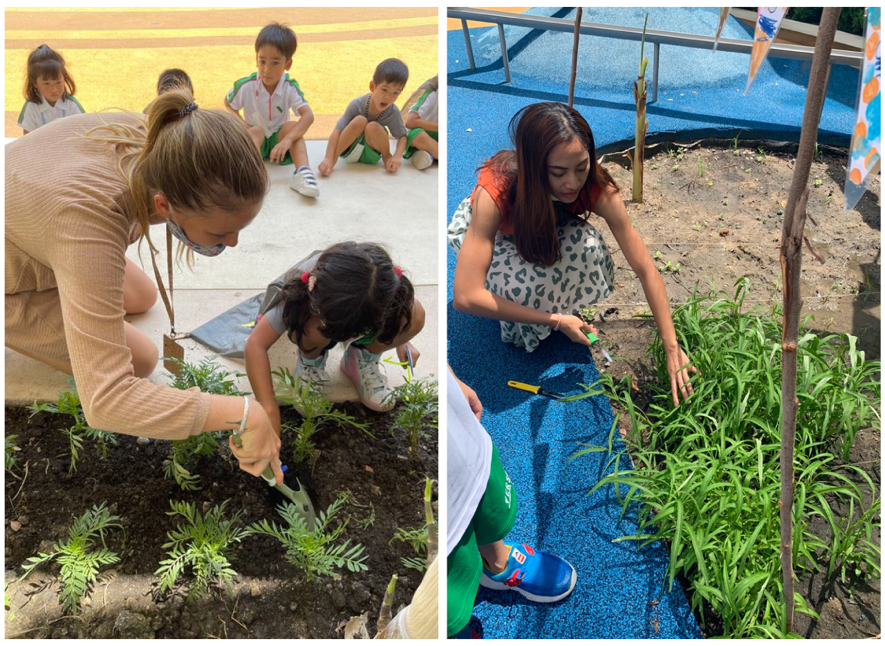 students growing vegetables